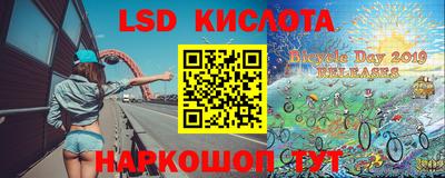 стаф Новокубанск