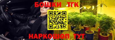 сатива Новозыбков
