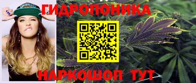 сатива Новозыбков