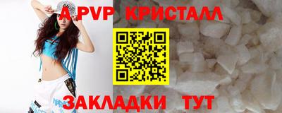 сатива Новозыбков