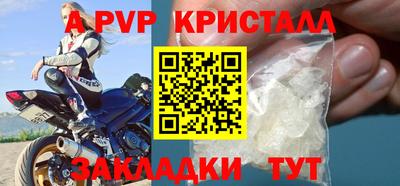 стаф Новокубанск