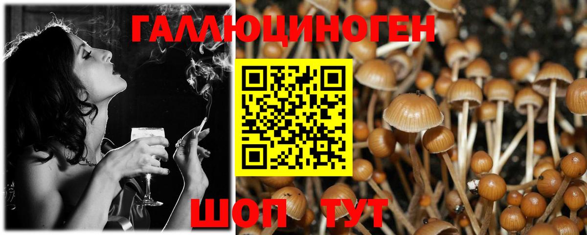 Псилоцибиновые грибы мухоморы Чистополь